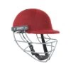 2024 Shrey Performance Mild Steel Cricket Helmet