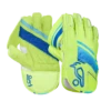 2024 Kookaburra SC 2.1 Wicket Keeping Gloves