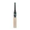 2024 Gunn And Moore Aion DXM Limited Edition Cricket Bat
