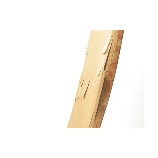 Cricket Bat Repair