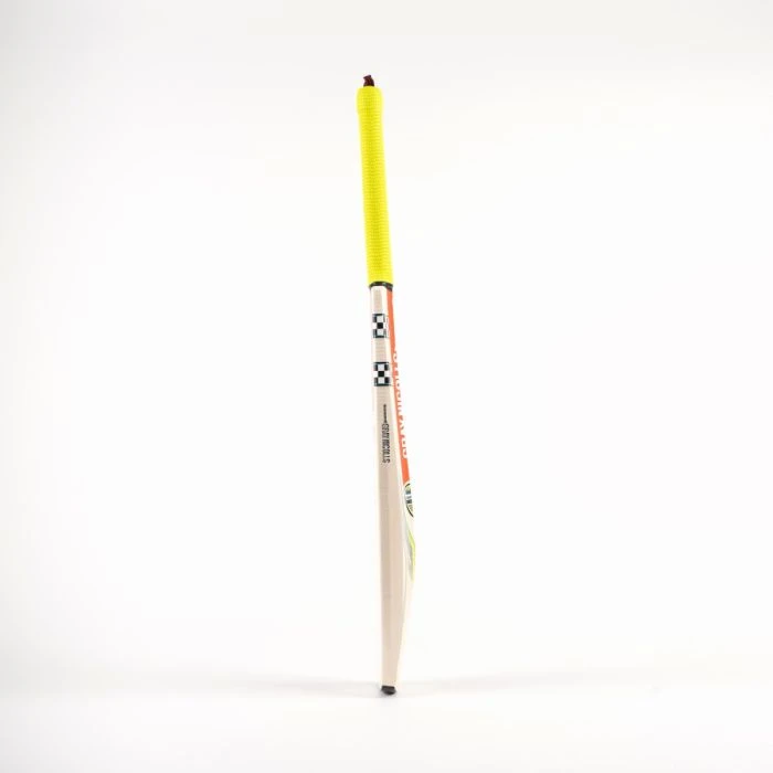 2024 Gray Nicolls Tempesta Warrior Junior Cricket Bat - Image 4