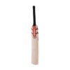 2024 Gray Nicolls GN Players Cricket Bat
