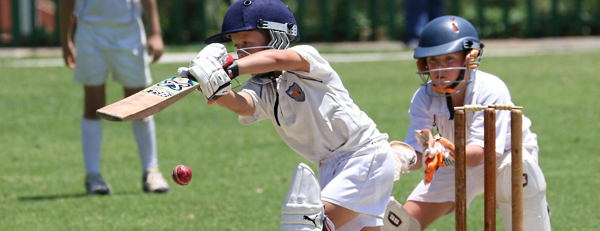 Cricket Sports Store -Cricket Sports Store pexels case originals 3628912